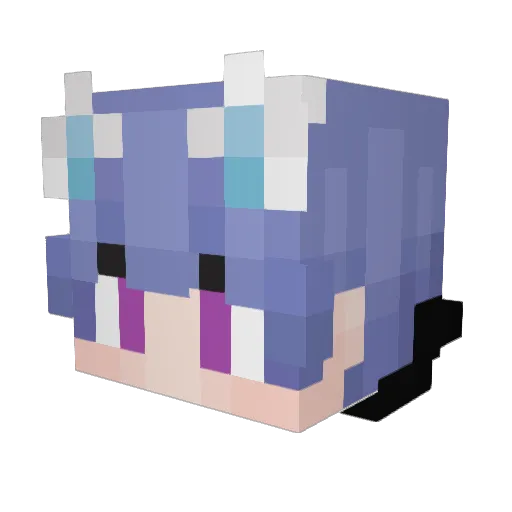 Duffle41 Minecraft avatar head, 3D render