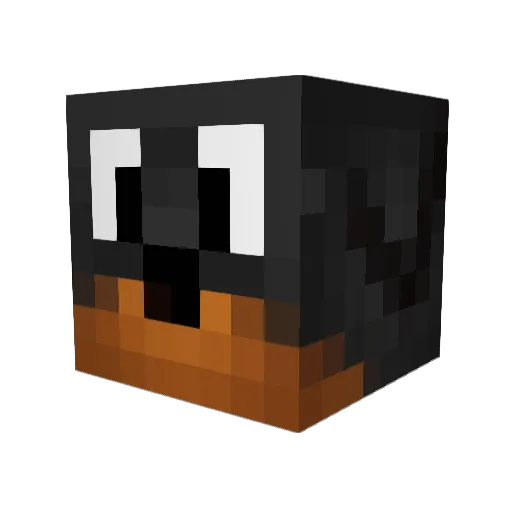 DugNotCat Minecraft avatar head, 3D render