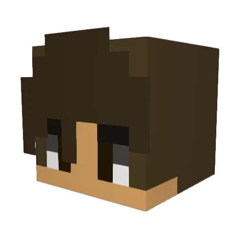 Dugan1421 Minecraft avatar head, 3D render