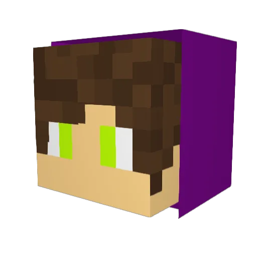 Dugarion Minecraft avatar head, 3D render