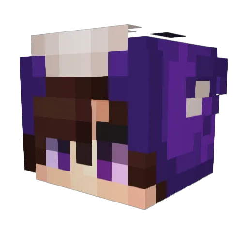 Dugeo Minecraft avatar head, 3D render