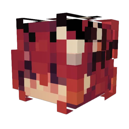 DugongForLunch Minecraft avatar head, 3D render