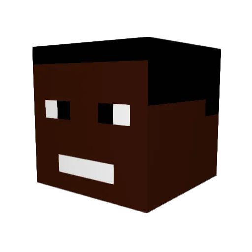 Dugz8 Minecraft avatar head, 3D render