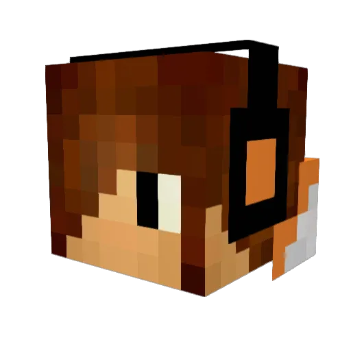 DuhBuss82 Minecraft avatar head, 3D render