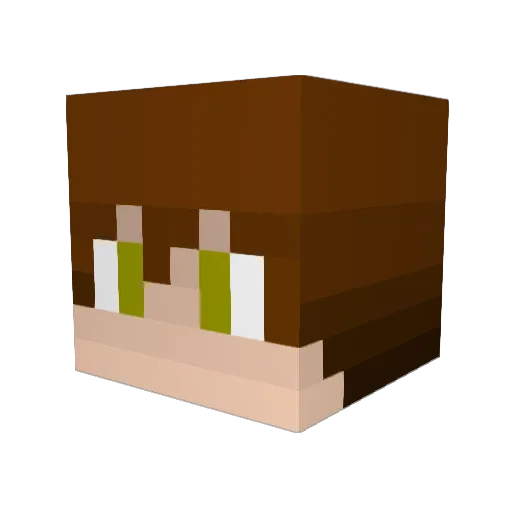 DuhPanderp Minecraft avatar head, 3D render
