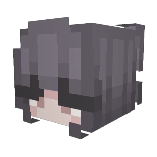 Duhaa Minecraft avatar head, 3D render