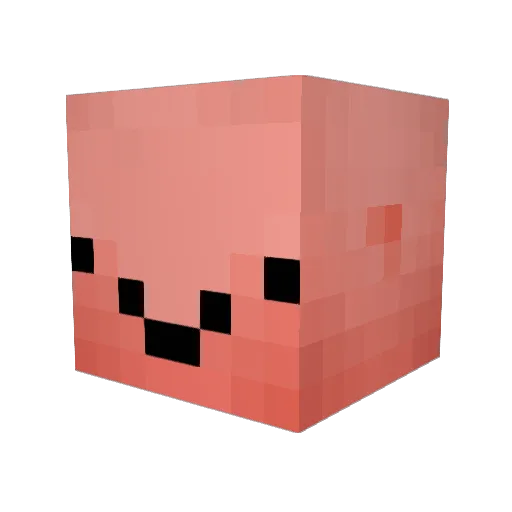 Duhbubster Minecraft avatar head, 3D render