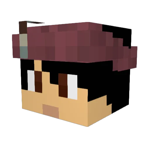 Duhn9 Minecraft avatar head, 3D render