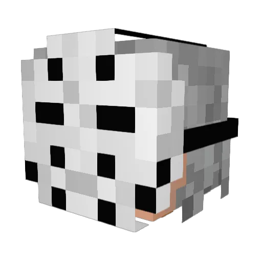Duirgin_TrueMine Minecraft avatar head, 3D render
