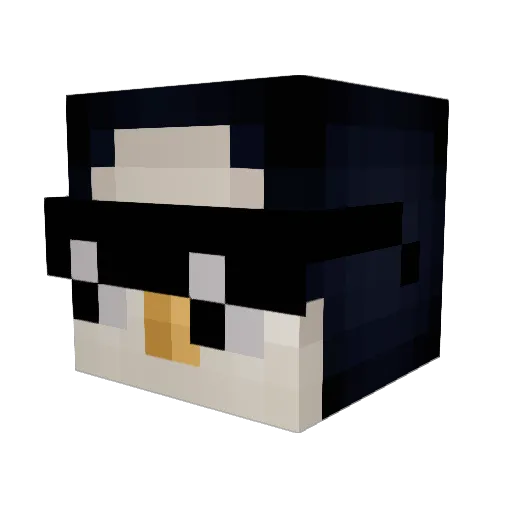 Duixx Minecraft avatar head, 3D render