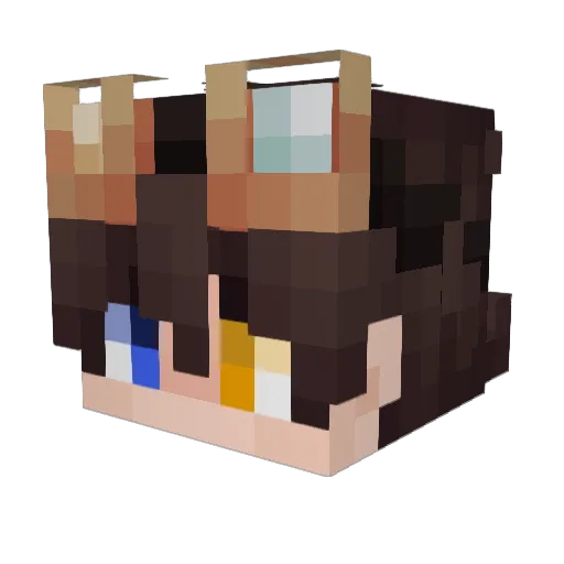 Dukc2567 Minecraft avatar head, 3D render