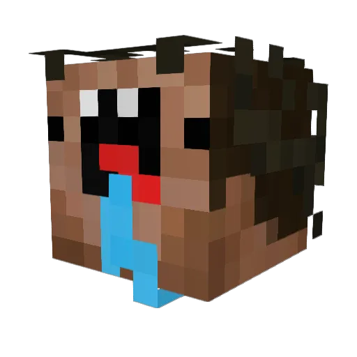 Dukdix420 Minecraft avatar head, 3D render