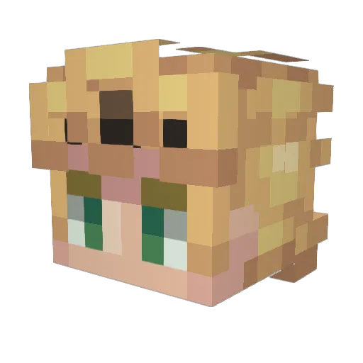 Duke1673 Minecraft avatar head, 3D render