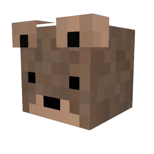 Duke2116 Minecraft avatar head, 3D render