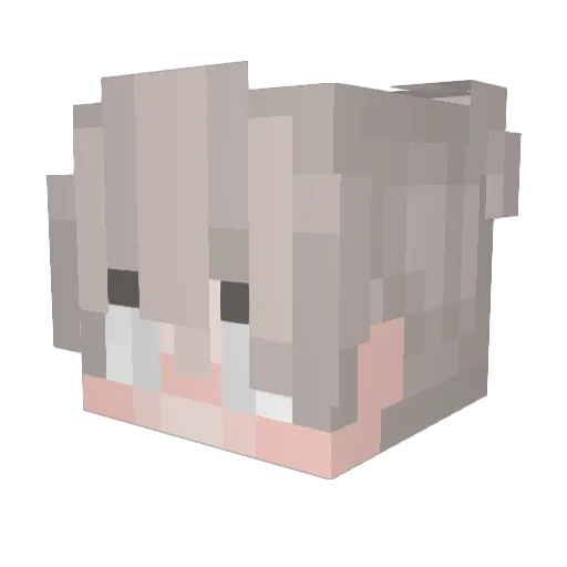 DukeLunar Minecraft avatar head, 3D render