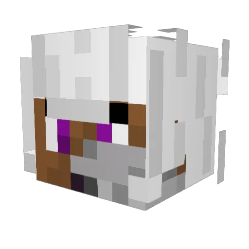 DukePropheta Minecraft avatar head, 3D render
