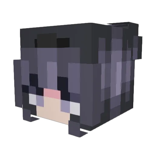 DukeWyo Minecraft avatar head, 3D render