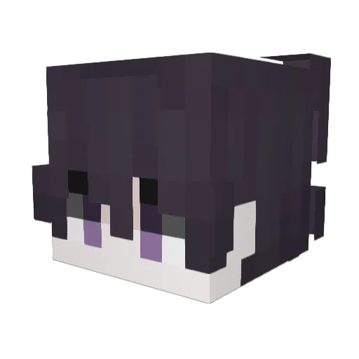DukeXaRiS Minecraft avatar head, 3D render