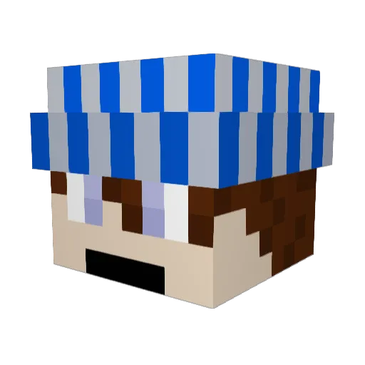Duke_ Minecraft avatar head, 3D render