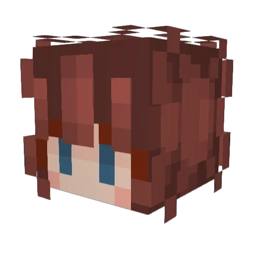 Duke_Taco Minecraft avatar head, 3D render