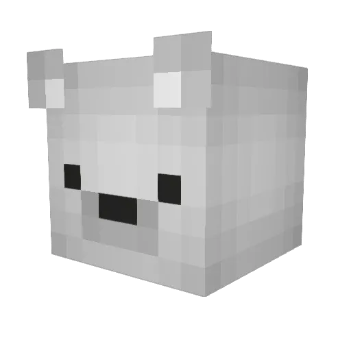 Dukeinator Minecraft avatar head, 3D render