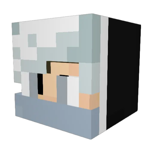 Dukester0227 Minecraft avatar head, 3D render