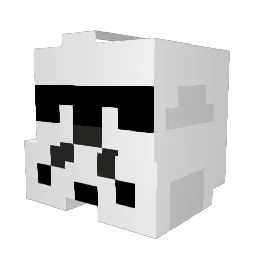 Dukester712 Minecraft avatar head, 3D render