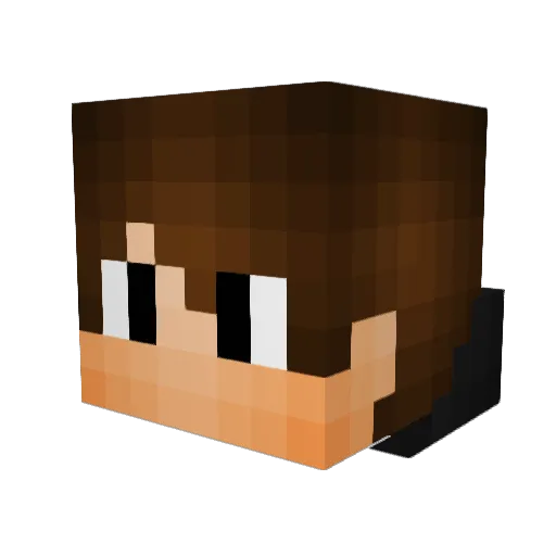 Dukfiz Minecraft avatar head, 3D render