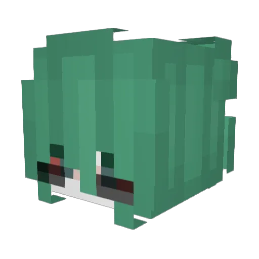 DuksNoob Minecraft avatar head, 3D render