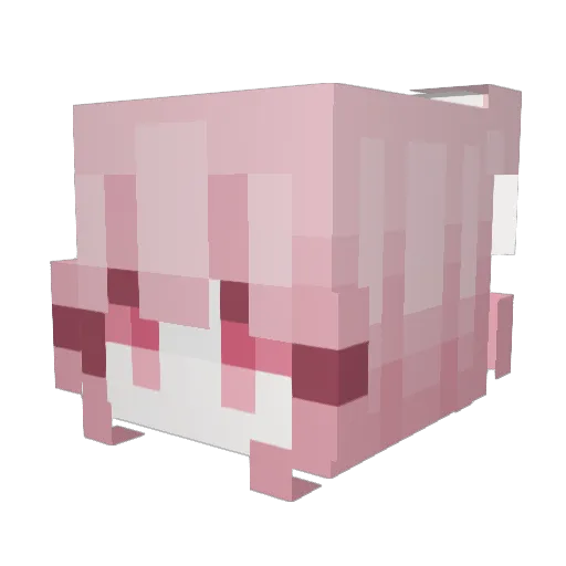 DulceSueno Minecraft avatar head, 3D render