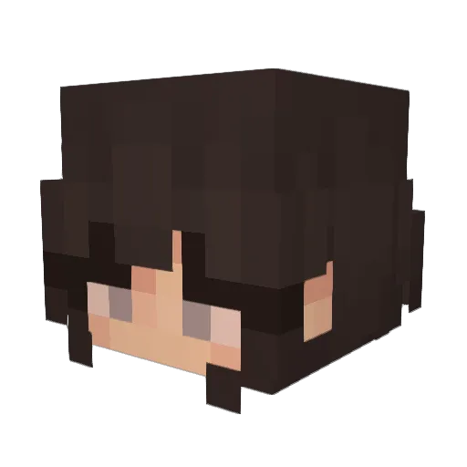 Dulkes_ Minecraft avatar head, 3D render