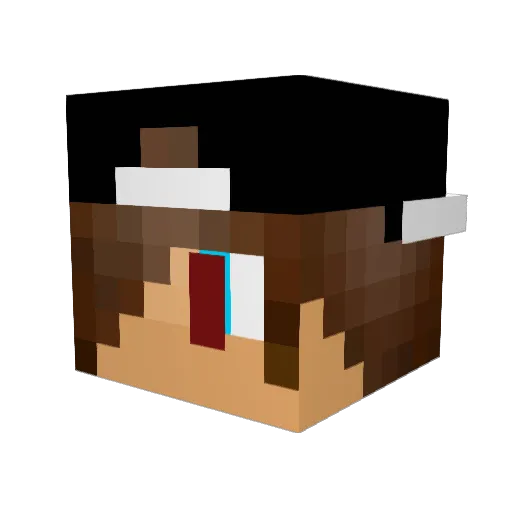 DullVirus Minecraft avatar head, 3D render