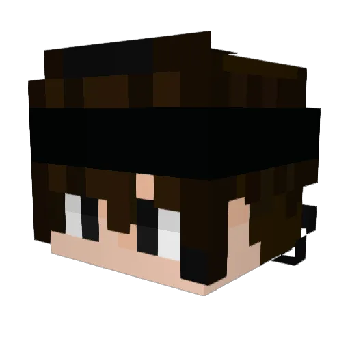 DumB_Meerkat Minecraft avatar head, 3D render