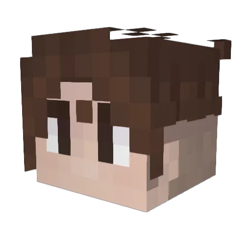 DumBabyJuice Minecraft avatar head, 3D render