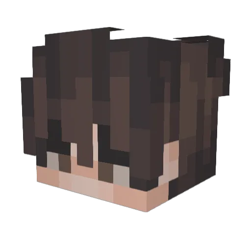 DumBoii123 Minecraft avatar head, 3D render