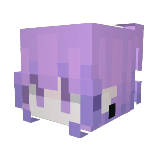 DumCat1740 Minecraft avatar head, 3D render