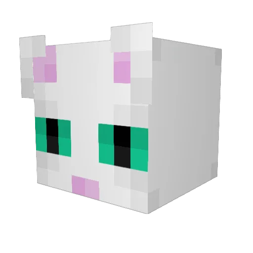 DumDumplling Minecraft avatar head, 3D render
