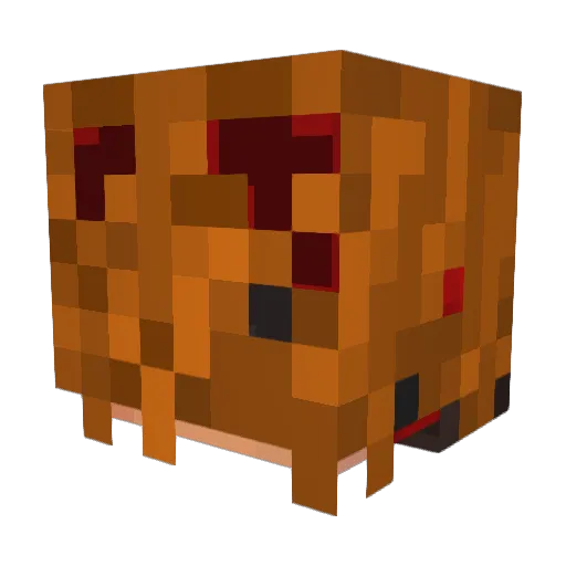 DumPotat0e Minecraft avatar head, 3D render
