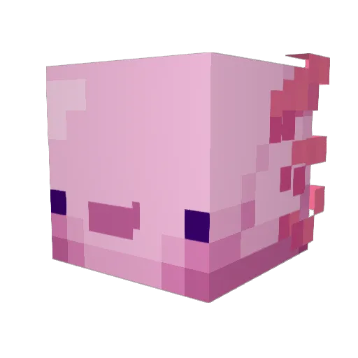 Dumb69420 Minecraft avatar head, 3D render