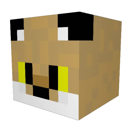 DumbCoyote Minecraft avatar head, 3D render