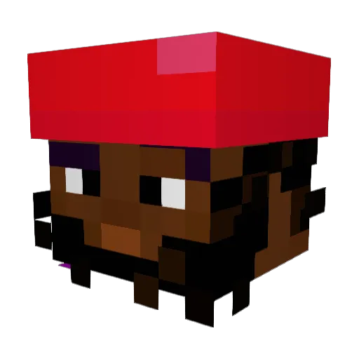 DumbDucky23 Minecraft avatar head, 3D render