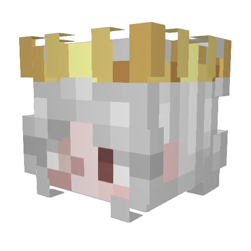 DumbG Minecraft avatar head, 3D render