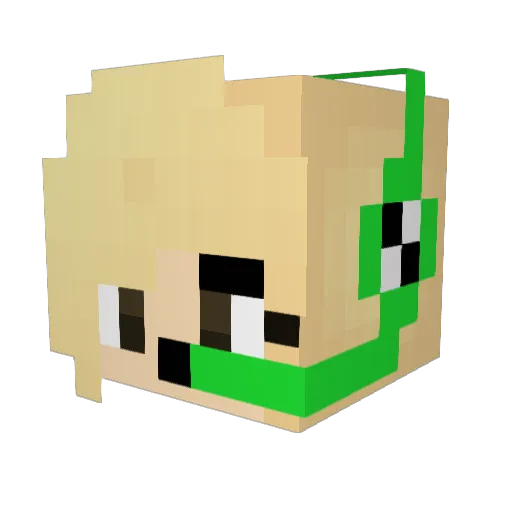 DumbHeadTR Minecraft avatar head, 3D render