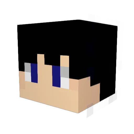 DumbWazowski Minecraft avatar head, 3D render