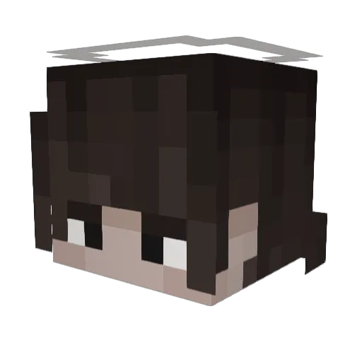 Dumb_Cereal Minecraft avatar head, 3D render