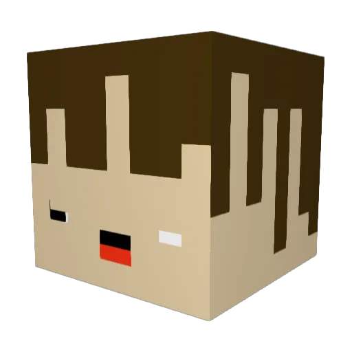 Dumbo223 Minecraft avatar head, 3D render