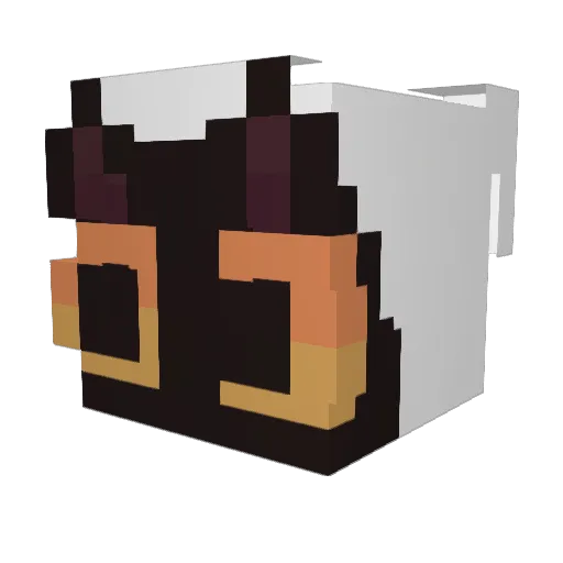 DumbocatQRiccota Minecraft avatar head, 3D render