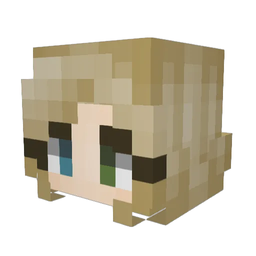 Dumbturtle123 Minecraft avatar head, 3D render