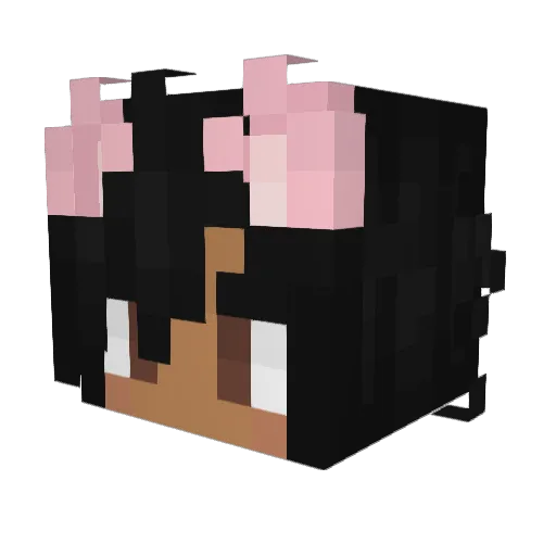 DumbyDumb Minecraft avatar head, 3D render