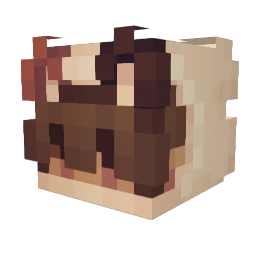 DumeteersST4R Minecraft avatar head, 3D render